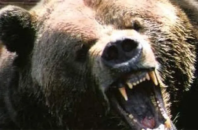 Týden na trzích podle burzovních grafů: Americké akcie po rozkolísaném vývoji výrazně oslabily