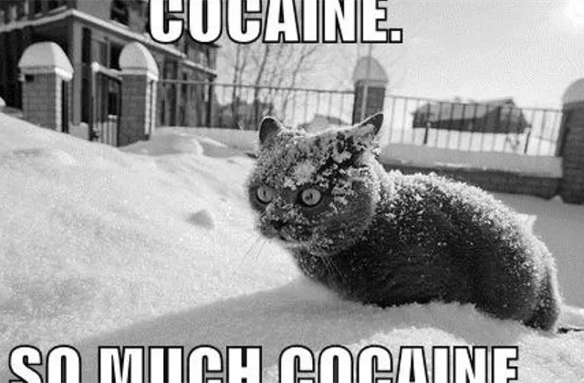 Co musíte ráno vědět (29.|dubna 2022)