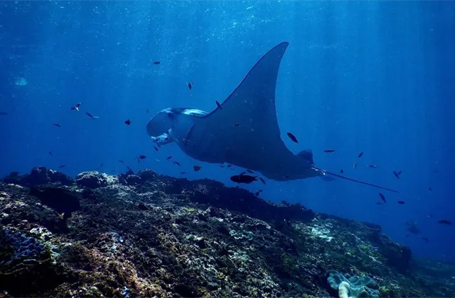 MANTA zpomaluje aneb Proč to nejhorší (nejen) na Nasdaqu může teprve přijít