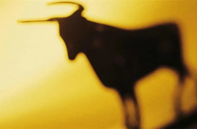 Že by opatrný býčí signál od amerických small caps?