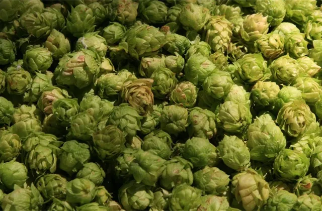 Co musíte ráno vědět (10.|června 2022)