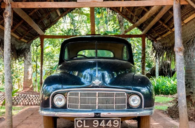 Co musíte ráno vědět (5.|července 2022)