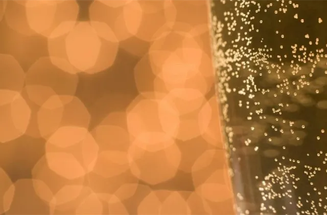 Šampaňské, sekt, alkohol, přípitek - ilustrační foto