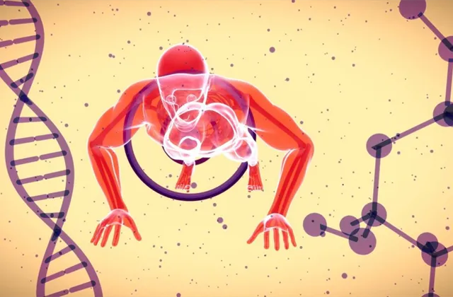 Šrámek (Longevitytech.fund): Povědomí o longevity se teprve buduje, projekty ještě nejsou drahé