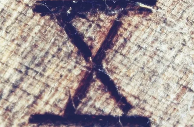 Investičníweb.cz: TOP 10 článků týdne (#11/2023)