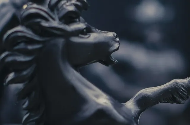 Černí akcioví koně roku 2024 podle zkušeného portfoliomanažera