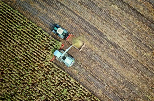 Trávníček (Verdi fond farem): Receptem na úspěch v zemědělství je diverzifikace, jednostranně zaměřená výroba již nebude fungovat