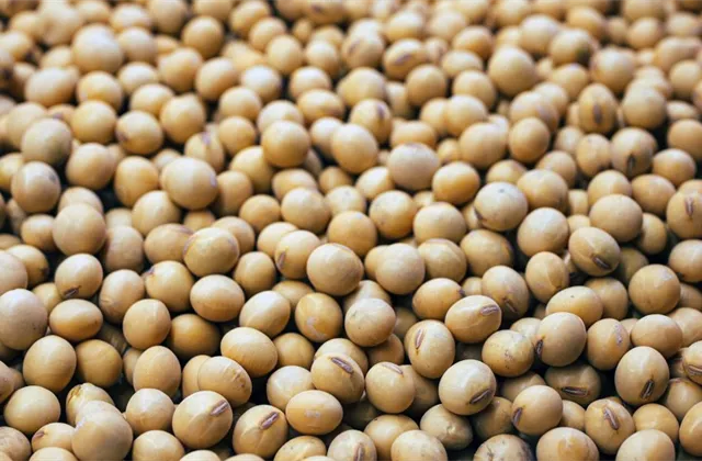 Trumpova výhra jako ztráta pro farmáře? Mince obchodní politiky USA má dvě strany