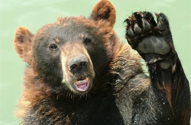 Burzovní veterán varuje: Akcie mají před sebou dva roky poklesu