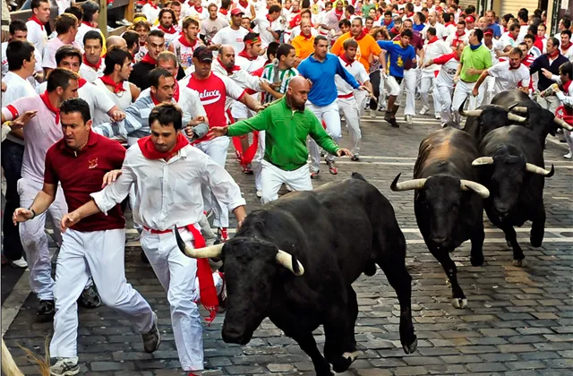 Jak se z býka stane medvěd?