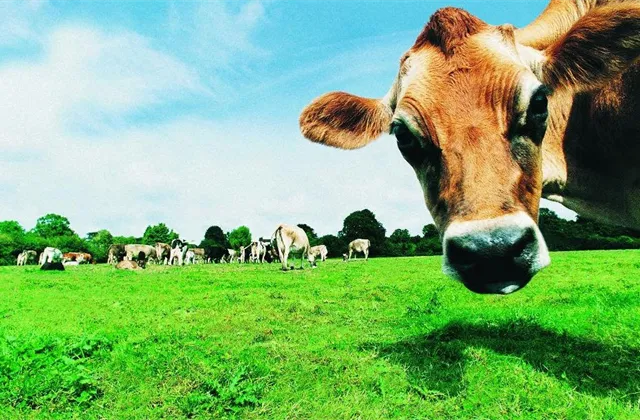 Petr Havel: Půda je strategická investice. Kdo ji drží, může ovlivňovat řadu věcí