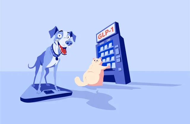 Šokující předpověď na rok 2026: Léky na obezitu nejen pro vás, ale i psa nebo kočku