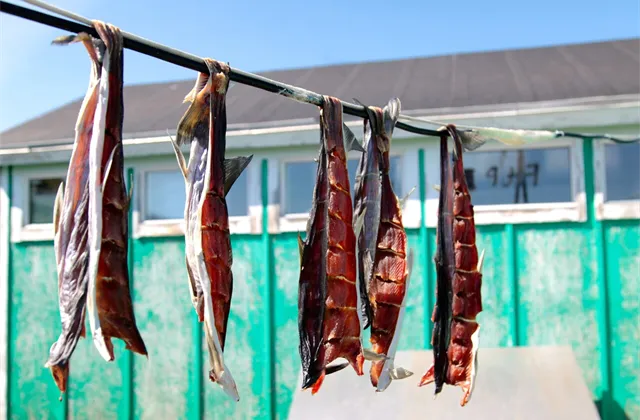 Hra o Grónsko: Co o něm vlastně víte?