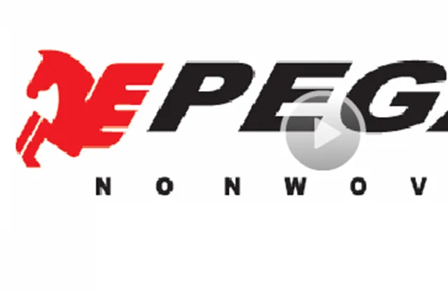 Pegas Nonwovens: Sázka na akcie s okřídleným koněm