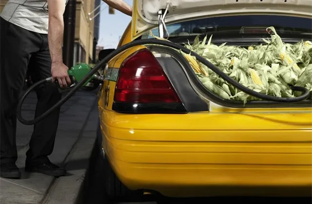 Výhled na rok 2014: Komodity