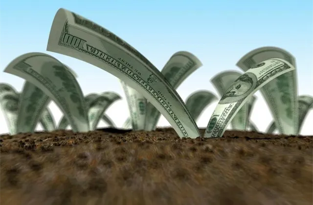 Tři investiční tipy na leden: Vyberte si z nabídky akcie, měny a komodity