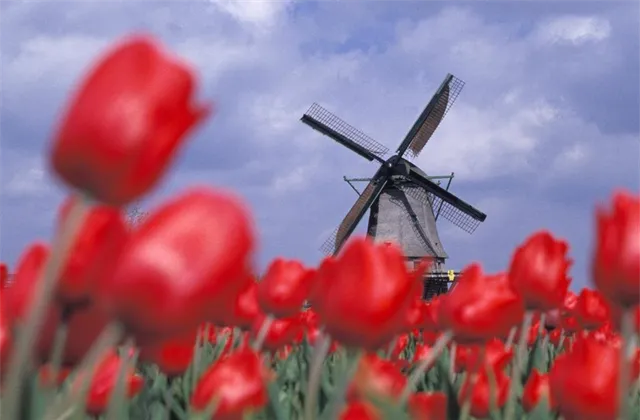 Nizozemsko: Index nákupních manažerů ve zpracovatelském sektoru v červenci vzrostl na 53,5 bodu z 52,3 bodu v červnu