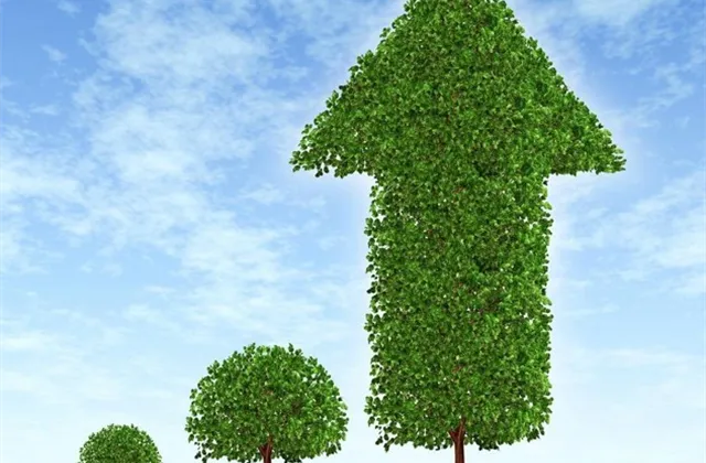 Emoce stranou, jinak proděláte!