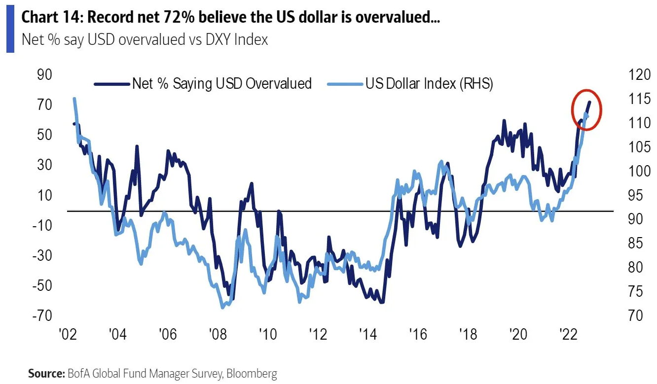 Americký dolar je podle manažerů nadhodnocený