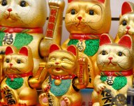 Čína, zlatá kočka - ilustrační foto