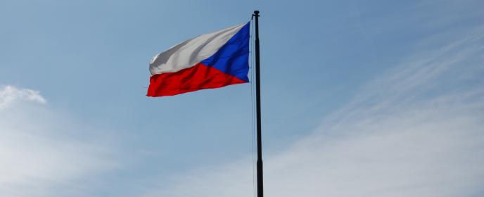 Česká vlajka