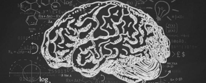 Mozek, inteligence - ilustrační foto