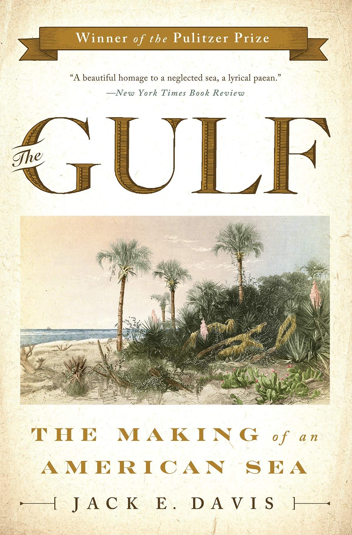 The Gulf: The Making of An American Sea (Jack E. Davis)